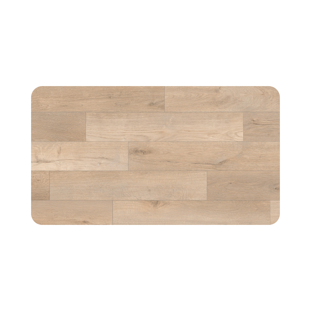 Daintree Oak