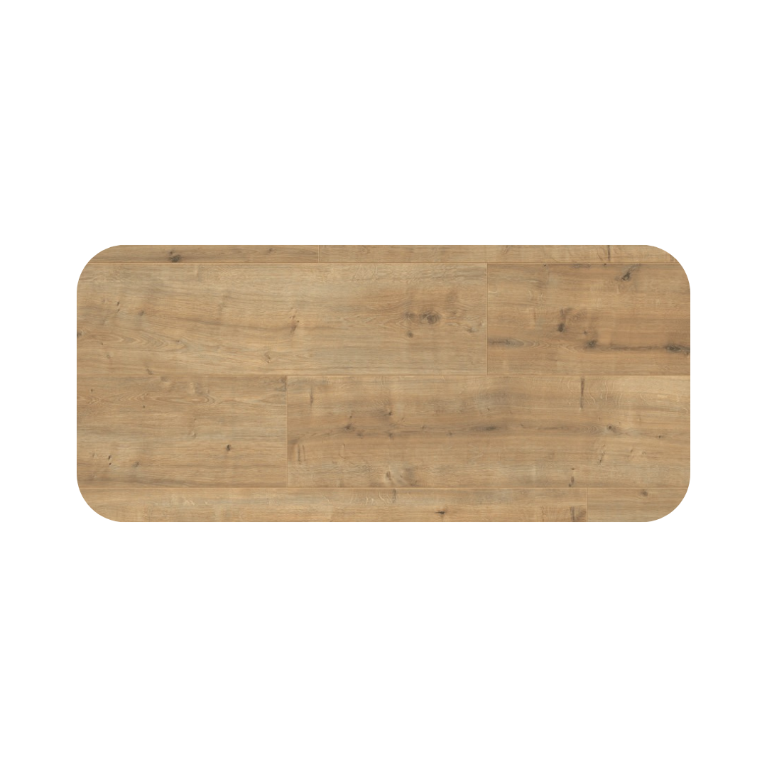 TAYLOR OAK