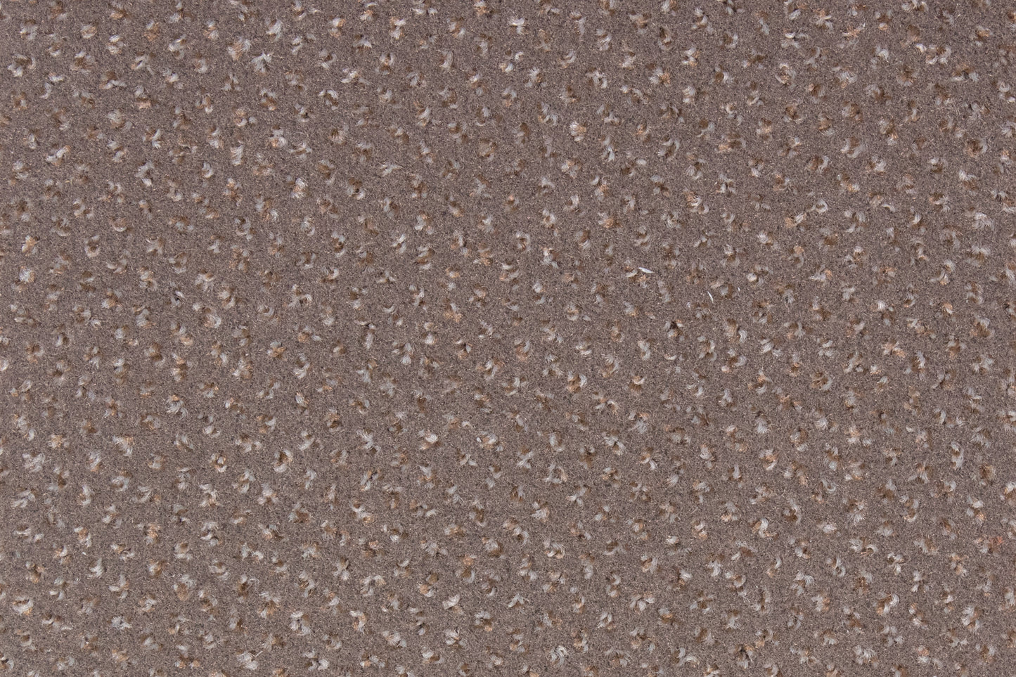Saturnus - Medium Beige