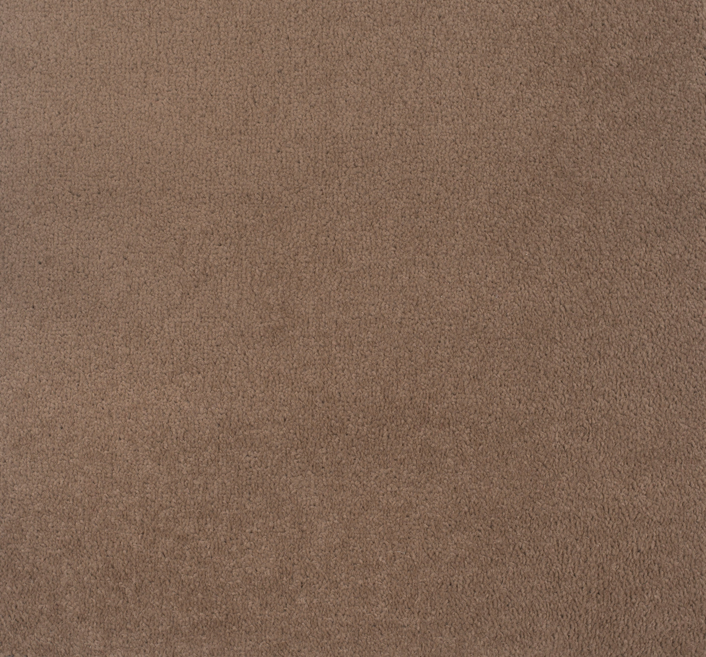 Tan Beige