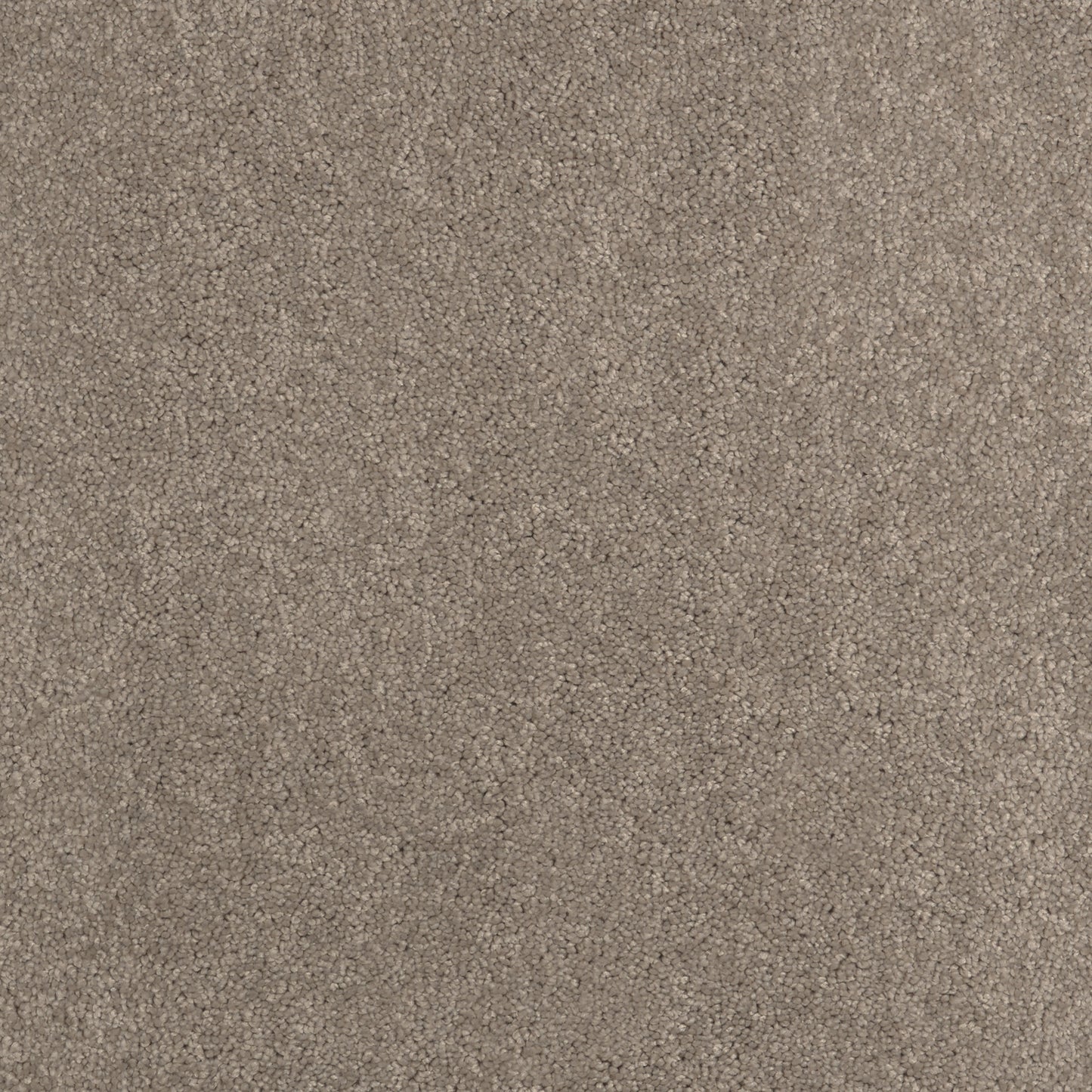 Taurus -Clay Beige