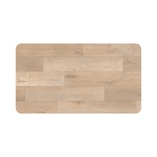 Daintree Oak