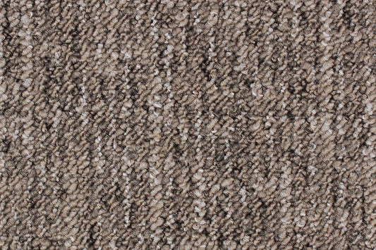 Alto - Brown