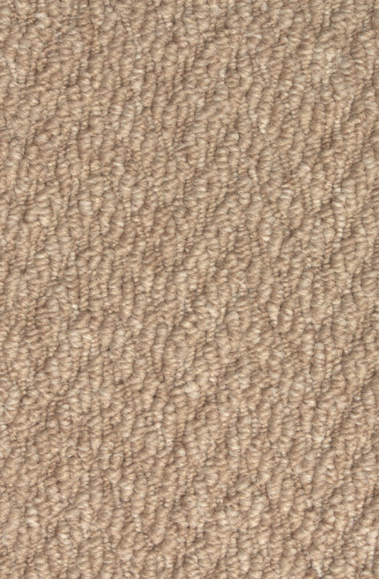Etosha Carpet's