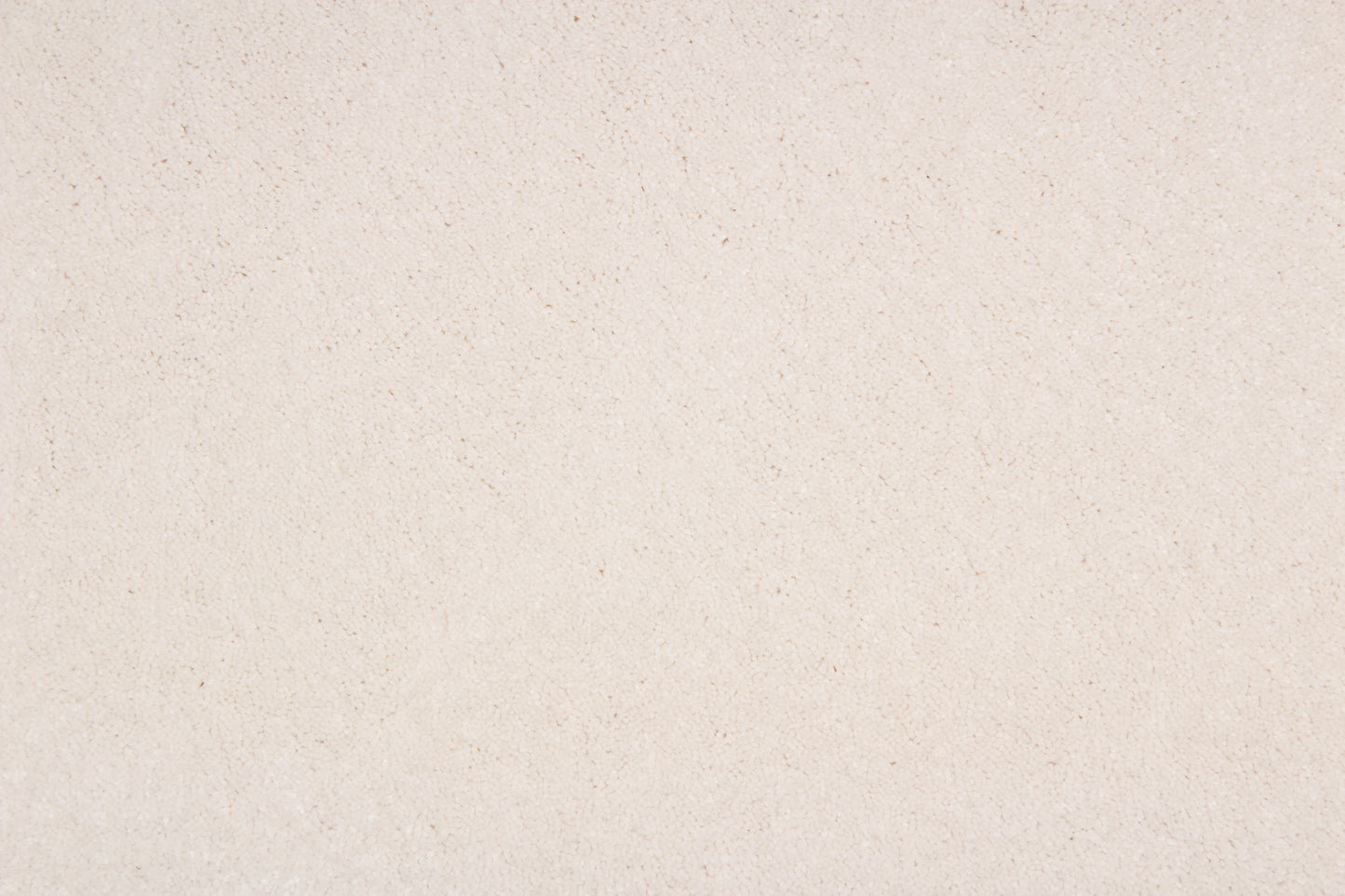 Pale Cream