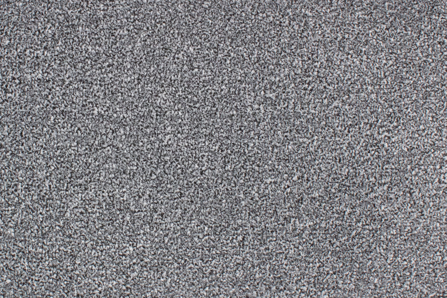 Warm Grey